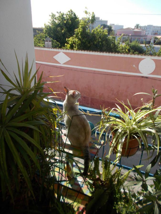 Ztir Διαμέρισμα Olhão Εξωτερικό φωτογραφία